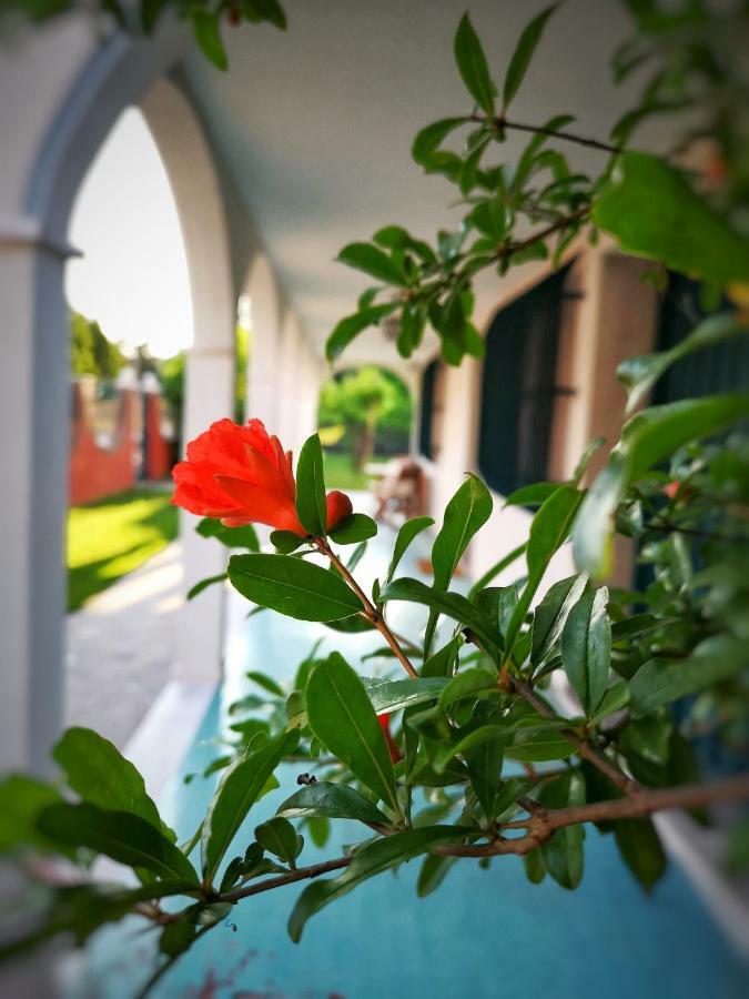 Casa Del Vigneto - New Near Venice - Rooms+Bathroom - Independent Spinea Ngoại thất bức ảnh