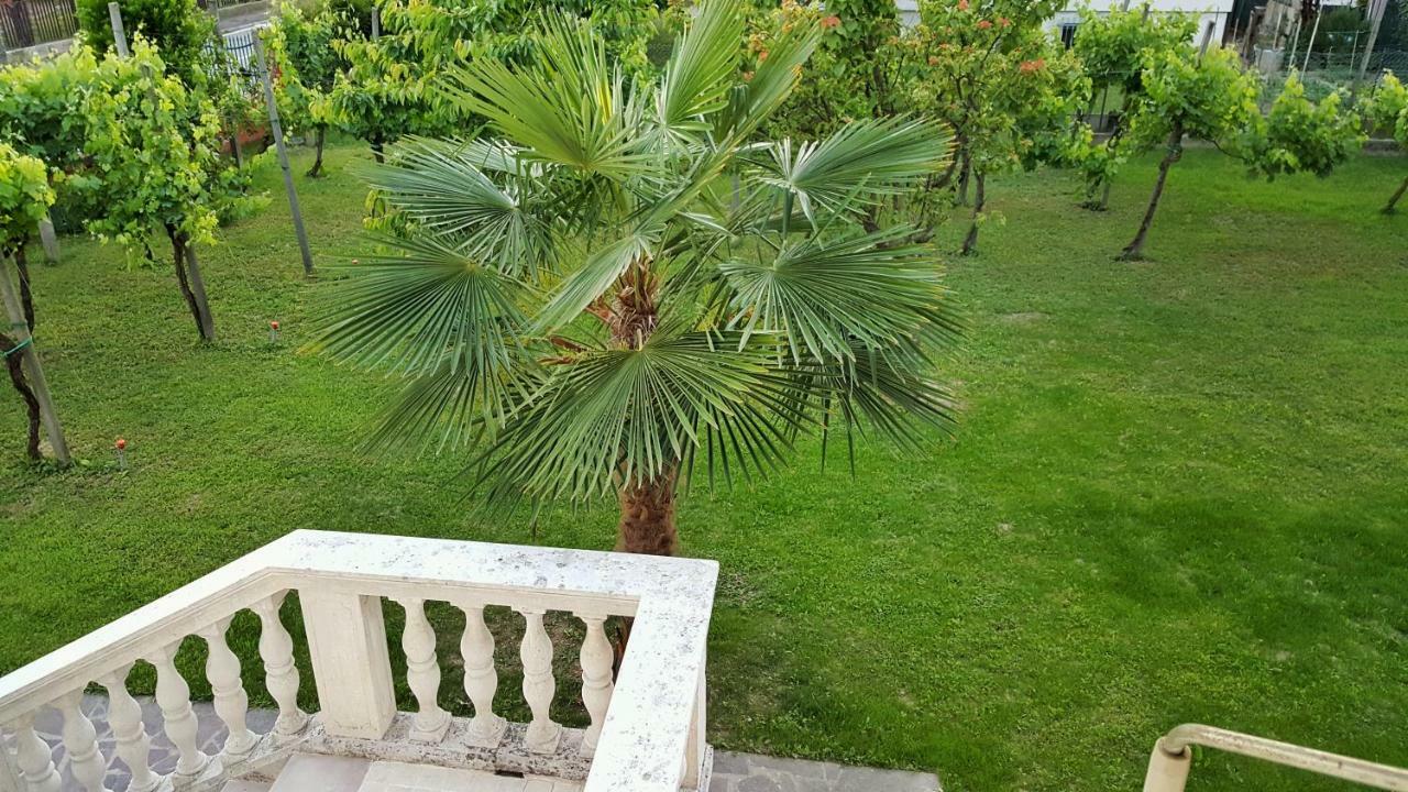 Casa Del Vigneto - New Near Venice - Rooms+Bathroom - Independent Spinea Ngoại thất bức ảnh